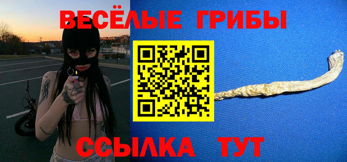 Псилоцибиновые грибы Psilocybe  Вход с VPN  Янаул 